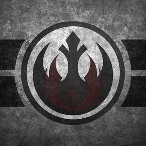 Meet your Posher, Donovan